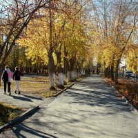 Тени золотой осени... :: Нэля Лысенко Тени золотой осени... :: Нэля Лысенко