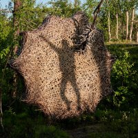 Радость :: Алексей Швецов