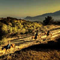 Алушта :: Петр 