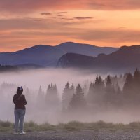 Природа Румынии :: А И М Природа Румынии :: А И М