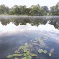 Природа :: Виктория Тукмакова