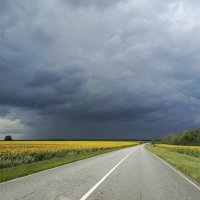 Гроза :: константин 