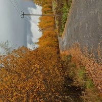 Золото осени :: Митяй Митрич