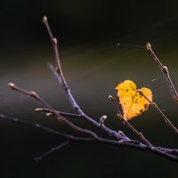 Прочее :: Жора Житников