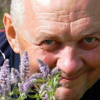 Ах , эти  глаза  голубые ... :: Нэлли Обертынская