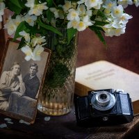 Ветка жасмина :: Алексей Трифонов
