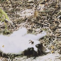 ЭМО Д ЖИ (1) :: OPEN WAYS ALL