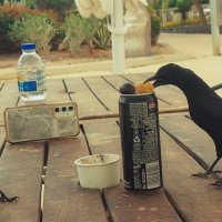 ЭМО Д ЖИ (3) :: СТРЕН 