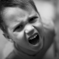 Ярость :: Константин Федяев