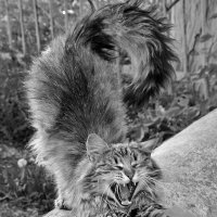 А где же фотосессия?! :: Валентина  Нефёдова 