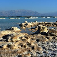 dead sea :: s.f 