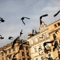 В небе Кракова :: Илья Кочанов