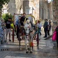 Лучший транспорт :: Людмила Финкель