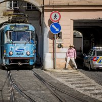 Куда податься? :: Evgeniy Kalinin Куда податься? :: Evgeniy Kalinin