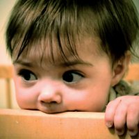 Задумчивость :: Алекс Шенгела