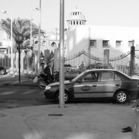 Жаркий полдень. :: Damir (@) KHABIBULLIN