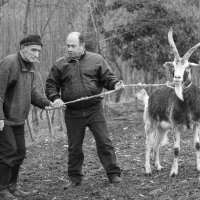 ... :: Алексей Садовников