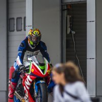 Выразительный взгляд! :: Сергей Калиганов