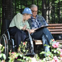 Жизнь продолжается :: Александр Горелов