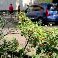 ... :: Виктор Катин