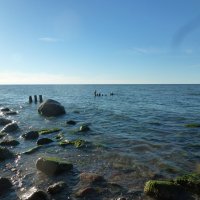 балтийское море лето :: Алексей Р. 