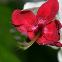 Прочее :: Сергей 