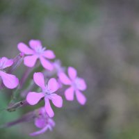 Прочее :: Катя Прочее :: Катя