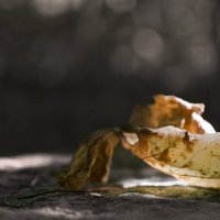 грусть :: Milena грусть :: Milena