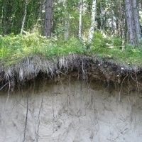 ... :: Татьяна 