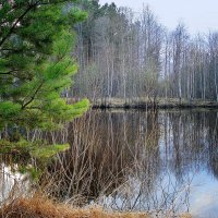 ... :: Яна Магик