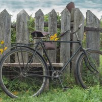 Вот и осень пришла... :: Наталья 