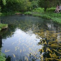 ... :: Константин Трапезников