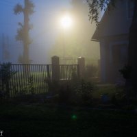 ... :: Александр Кузнецов