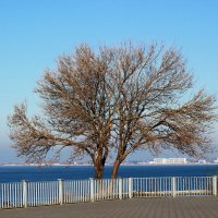 ... :: Анастасия Я