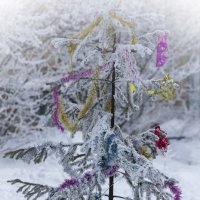 праздник прошел,атрибуты остались :: sveta 