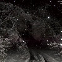 Забавы снежной королевы :: Ольга Алешко