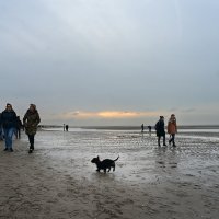 Пейзаж с маленькой собачкой на переднем плане :: Анатолий Бастунский