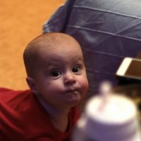 Вика. 1й Новый год :: Николай Семёнов