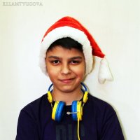 Новогоднее настроение :: Евгения Ламтюгова