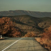 времена года :: крИСТИНА облецова