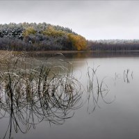 осенняя тишина :: Denis Zakalyapin
