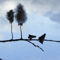 ожидание :: Елена Антропова ожидание :: Елена Антропова