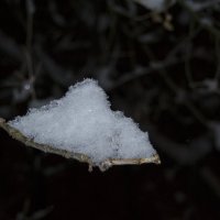 Треугольник :: Виктория Поплавская