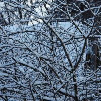 ... :: Виктория Поплавская