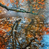 Отражение :: СЕРГЕЙ БОГДАН