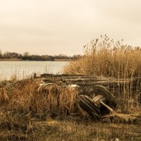 Тихий Дон :: Алла 