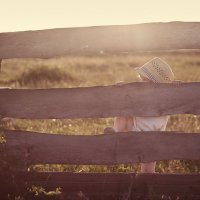 Лето :: Ольга 