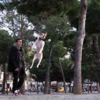 Взлет :: Татьяна Выхристюк