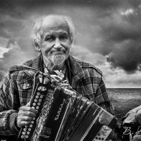 Гармонист :: Владимир Ачинцев 