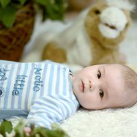 Артемыч :: Юлия Полянцева Артемыч :: Юлия Полянцева